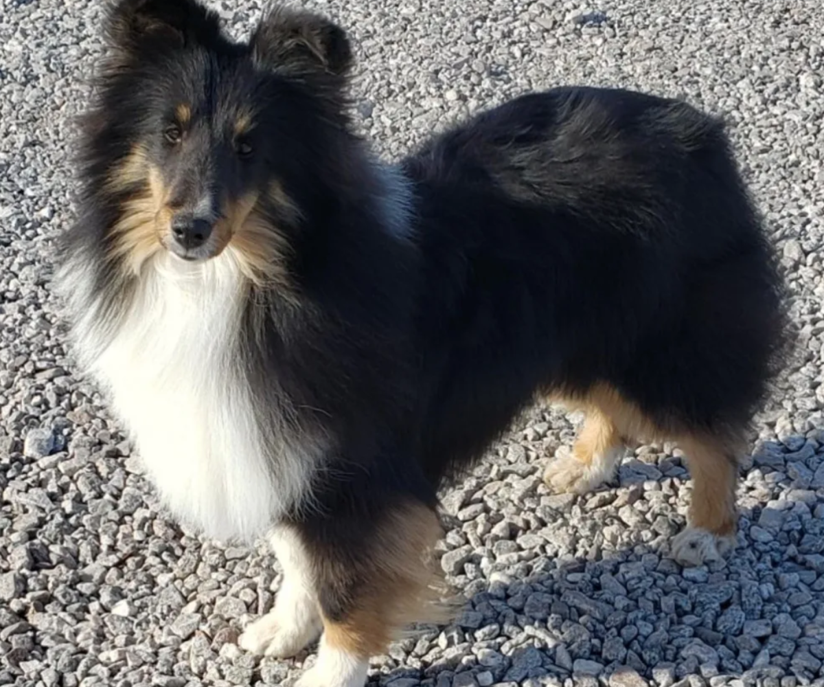 Screen Shot 2025-10-22 at 8.03.06 PM