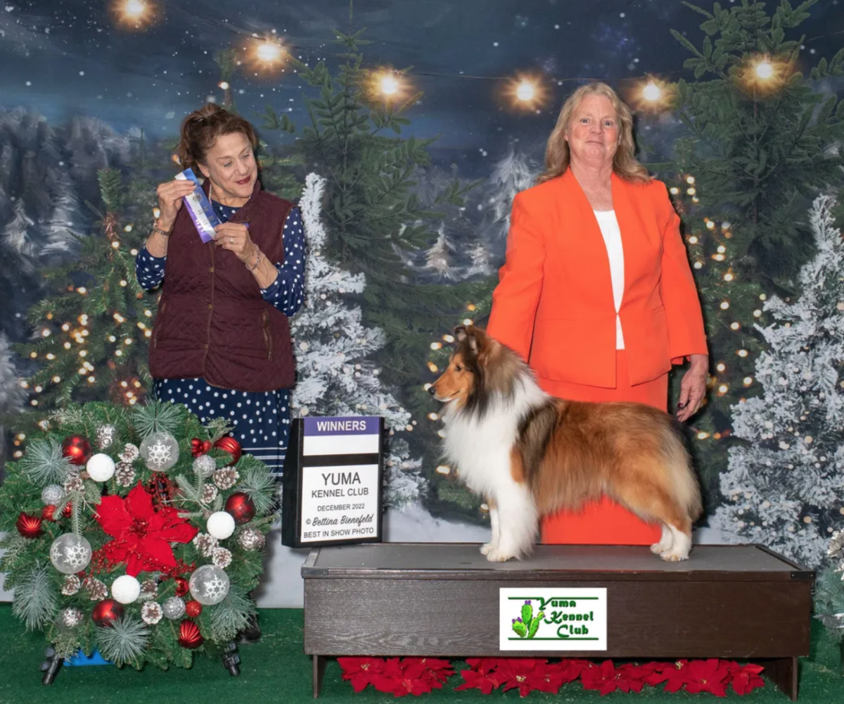 Screen Shot 2025-10-25 at 5.30.51 PM