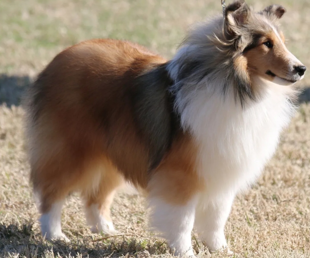 Screen Shot 2025-10-25 at 5.36.10 PM