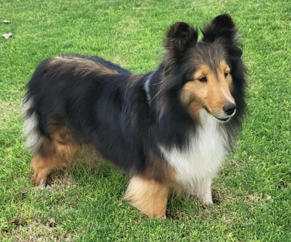 Screen Shot 2025-10-25 at 5.43.21 PM