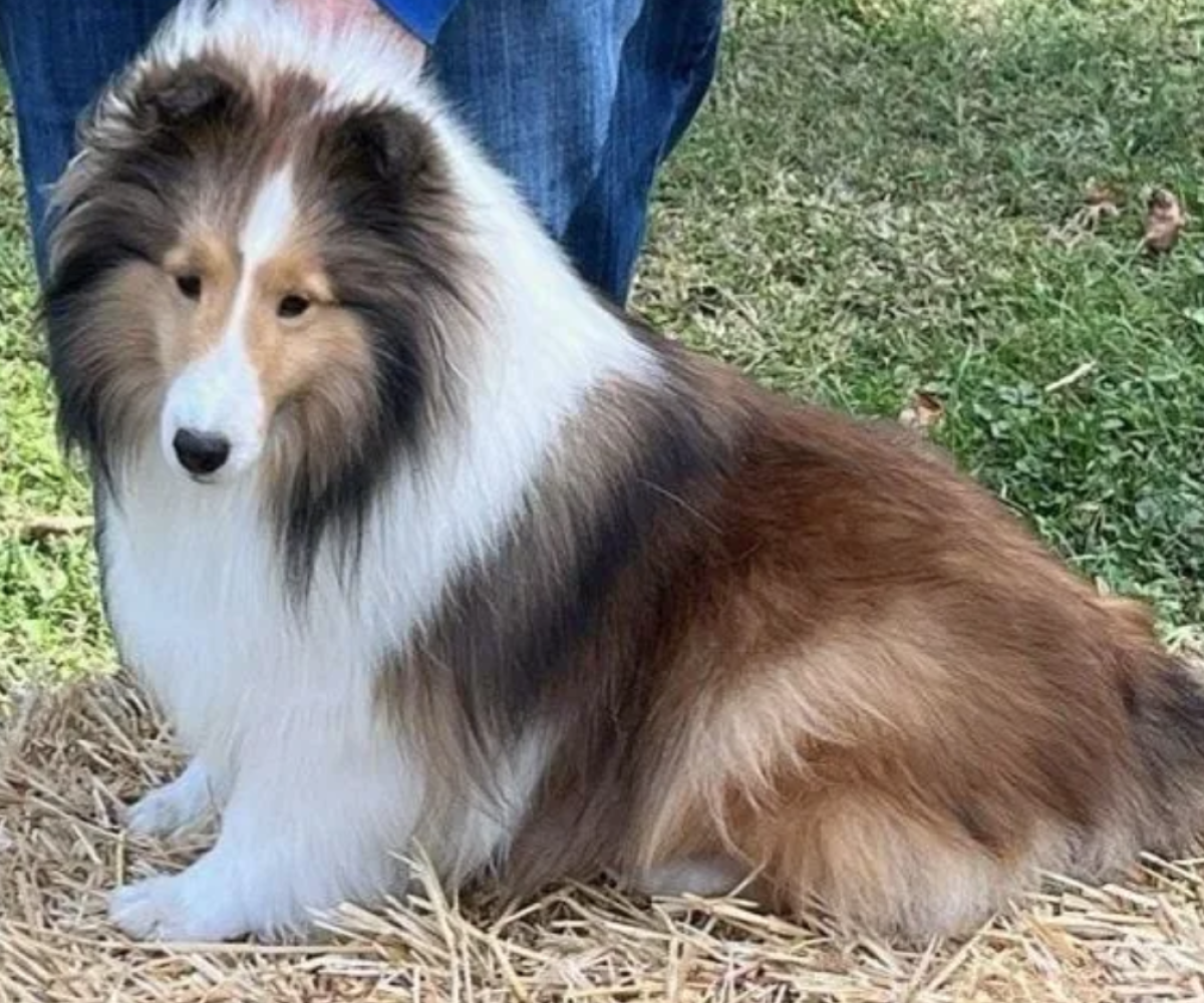 Screen Shot 2025-10-25 at 5.45.03 PM